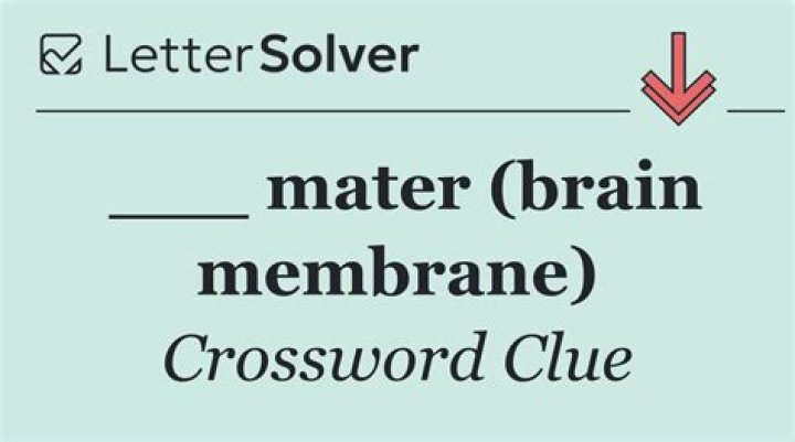 ___ mater (brain cover) Crossword Clue