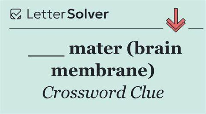 ___ mater, membrane surrounding the brain Crossword Clue