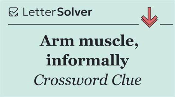 Muscle used in a pull-up, informally Crossword Clue