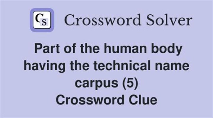 Name that’s a body part in reverse Crossword Clue