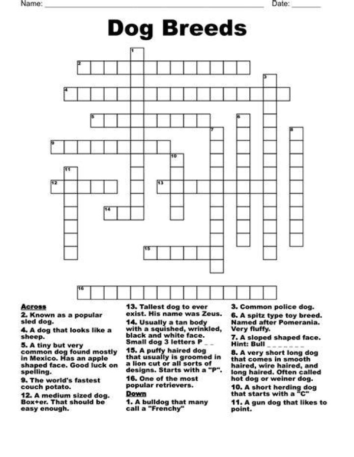 Org. that recognizes nearly 200 breeds Crossword Clue