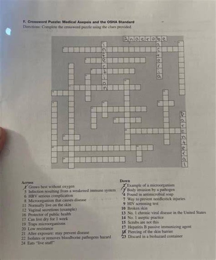 OSHA or the F.C.C. Crossword Clue