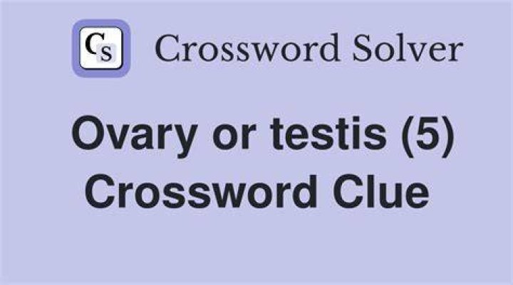 Ovary, for example Crossword Clue