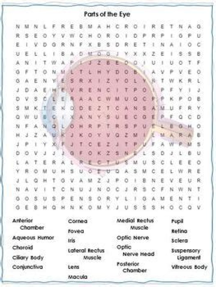 Part of the eye Crossword Clue