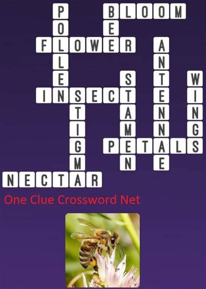 Participated in a bee Crossword Clue