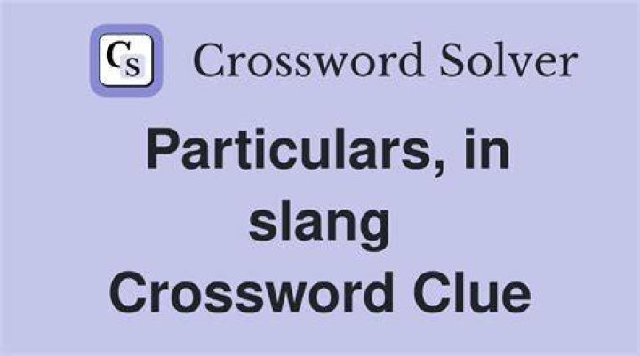Particulars, slangily Crossword Clue