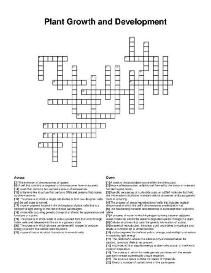 Period of rapid growth Crossword Clue