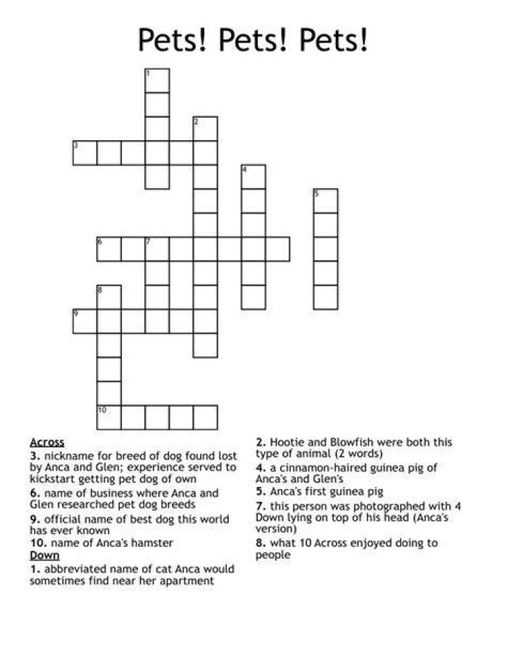 Pet Crossword Clue