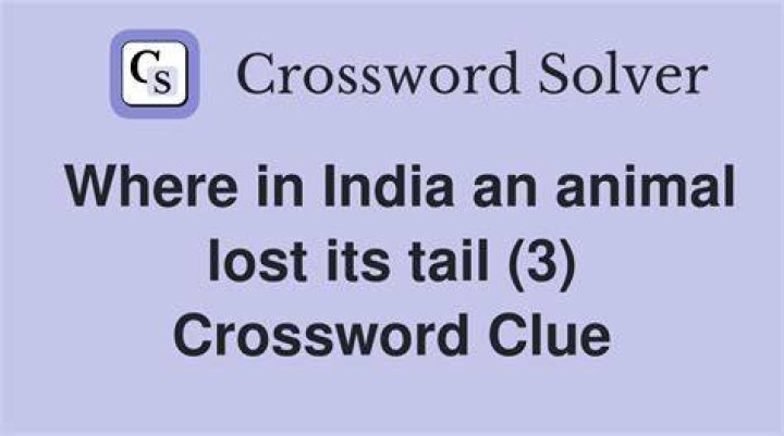 Pet that can regrow its tail Crossword Clue
