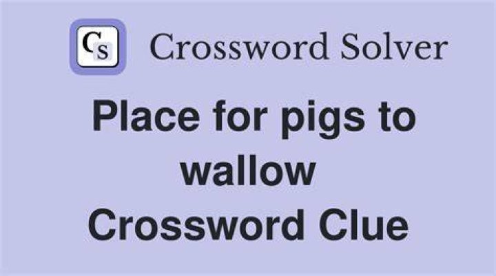 Pigs’ supper Crossword Clue