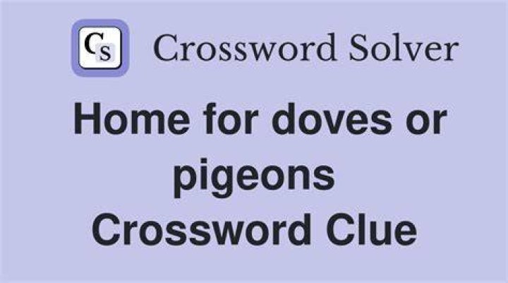 Place for pigeons to sit Crossword Clue