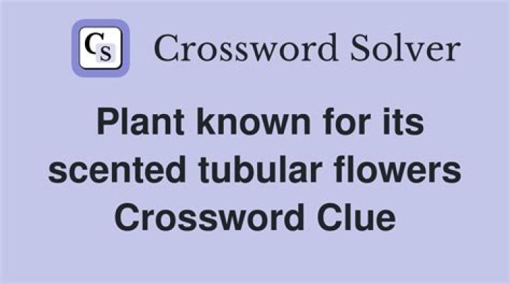Plant in some juices and lotions Crossword Clue