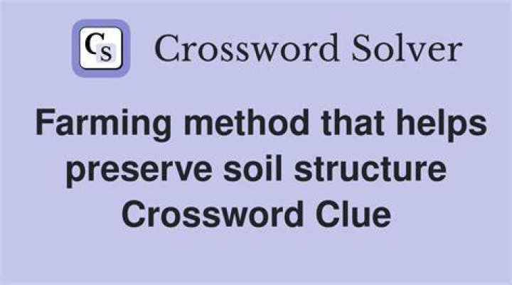 Preserve, in a way Crossword Clue
