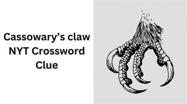 Prey-catching claw Crossword Clue