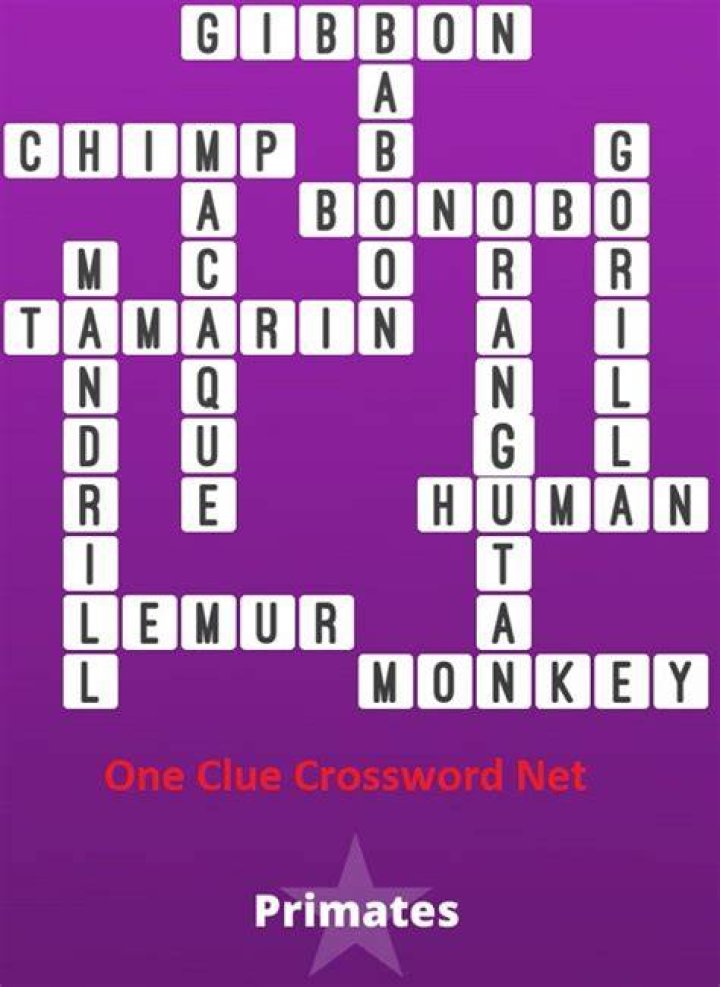 Primates, for humans Crossword Clue