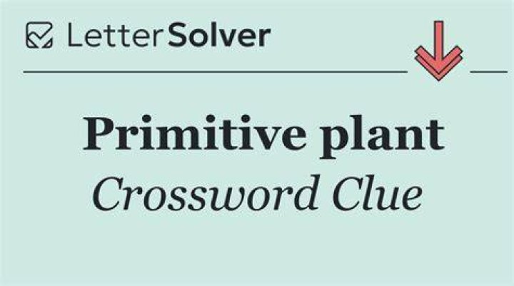 Primitive sorts Crossword Clue