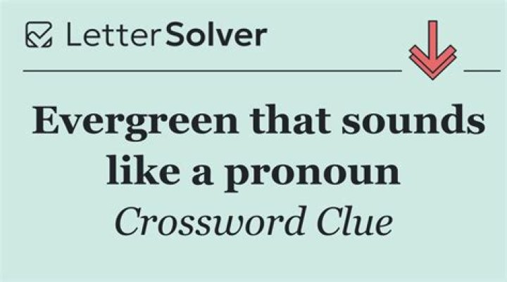 Pronoun that sounds like its last letter Crossword Clue