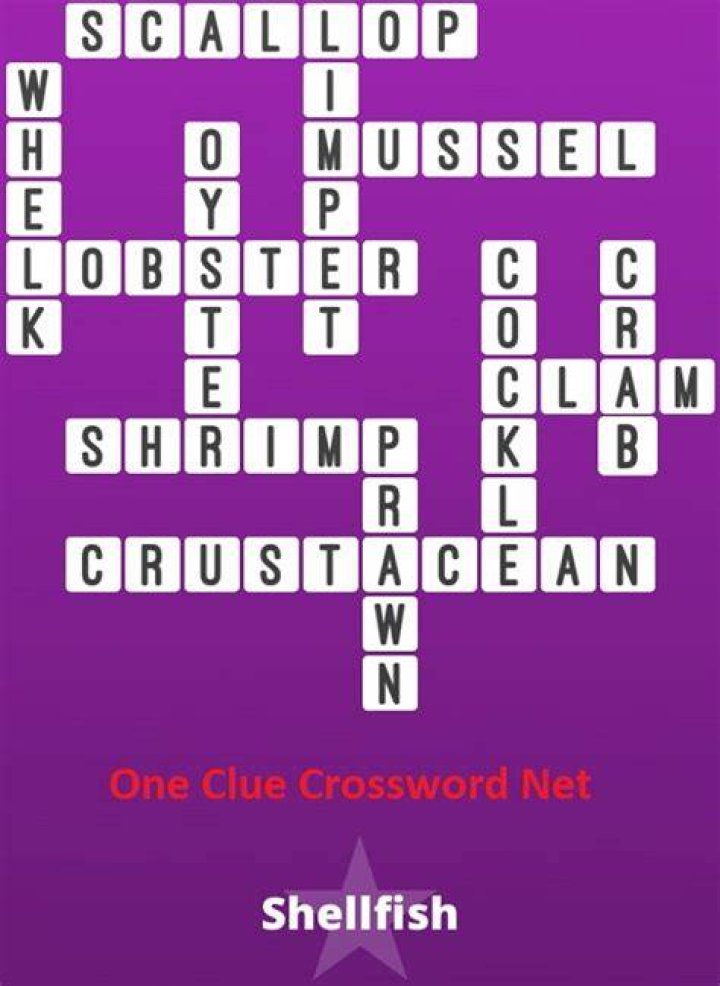 Protective wear around shellfish, maybe Crossword Clue