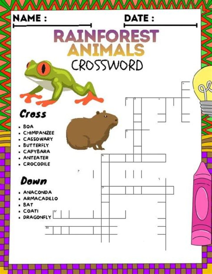 Rainforest dweller, in brief Crossword Clue