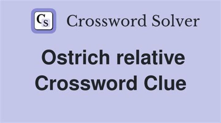 Relative of an ostrich Crossword Clue