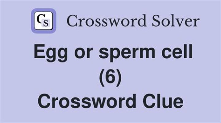 Release a fertilizable egg Crossword Clue
