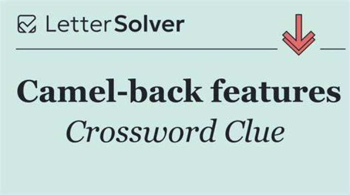 Rest spot for a camel Crossword Clue
