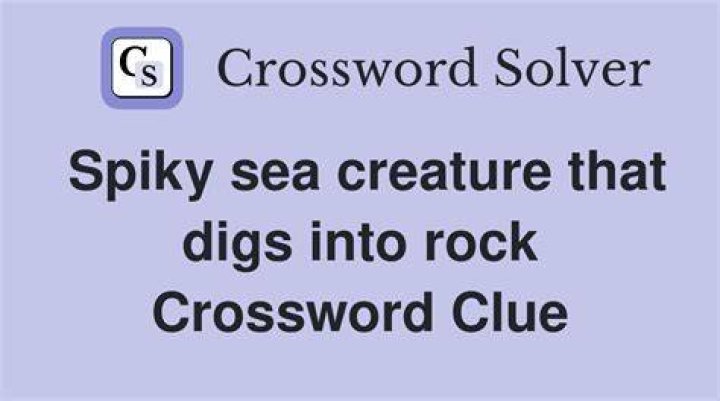 Sea foams Crossword Clue