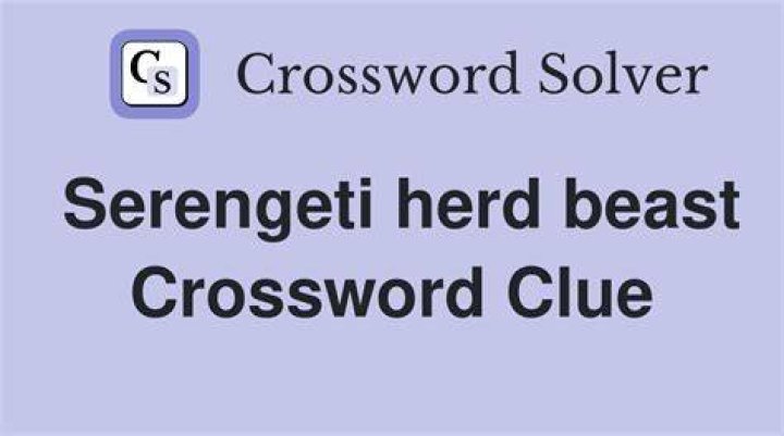 Serengeti herd Crossword Clue