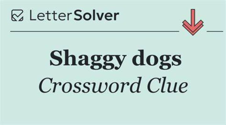 Shaggy Crossword Clue