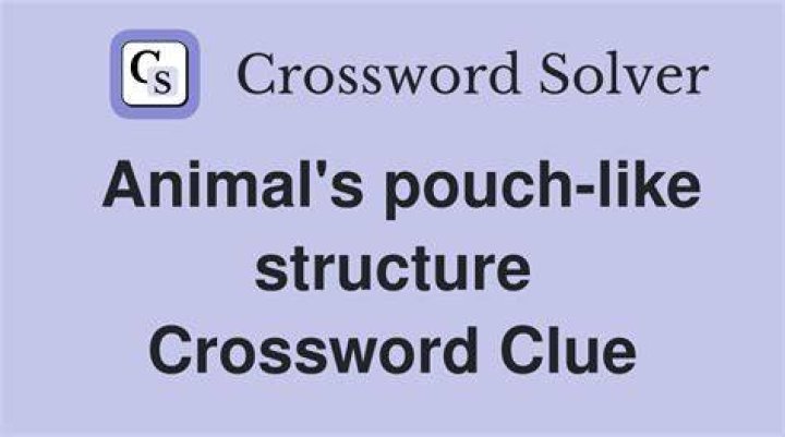 Small pouch Crossword Clue