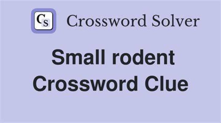 Small rodent Crossword Clue