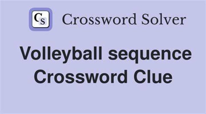 Some volleyball players Crossword Clue