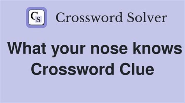 Something the nose knows Crossword Clue