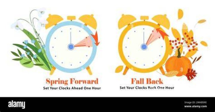 “Spring forward” and “fall back” plan Crossword Clue