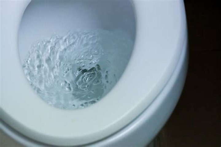 Swirl in a toilet bowl, say Crossword Clue