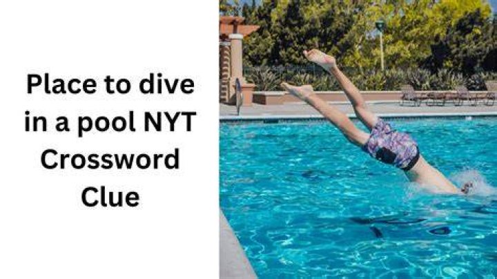 Take a dive, maybe Crossword Clue