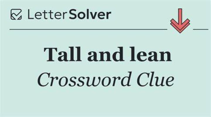 Tall and lean Crossword Clue