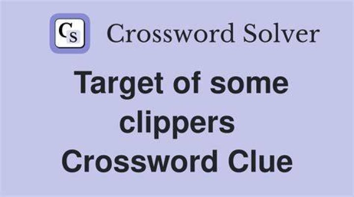 Target for clippers Crossword Clue