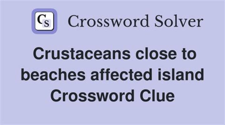 Things picked up on beaches Crossword Clue