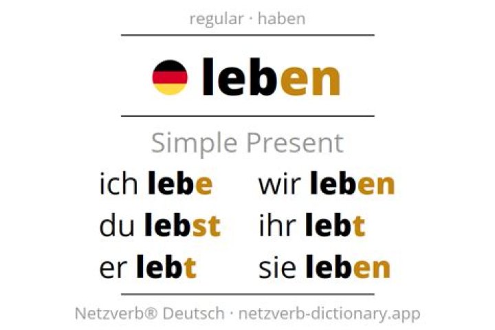 Translation of the French “vivre” or German “leben” Crossword Clue