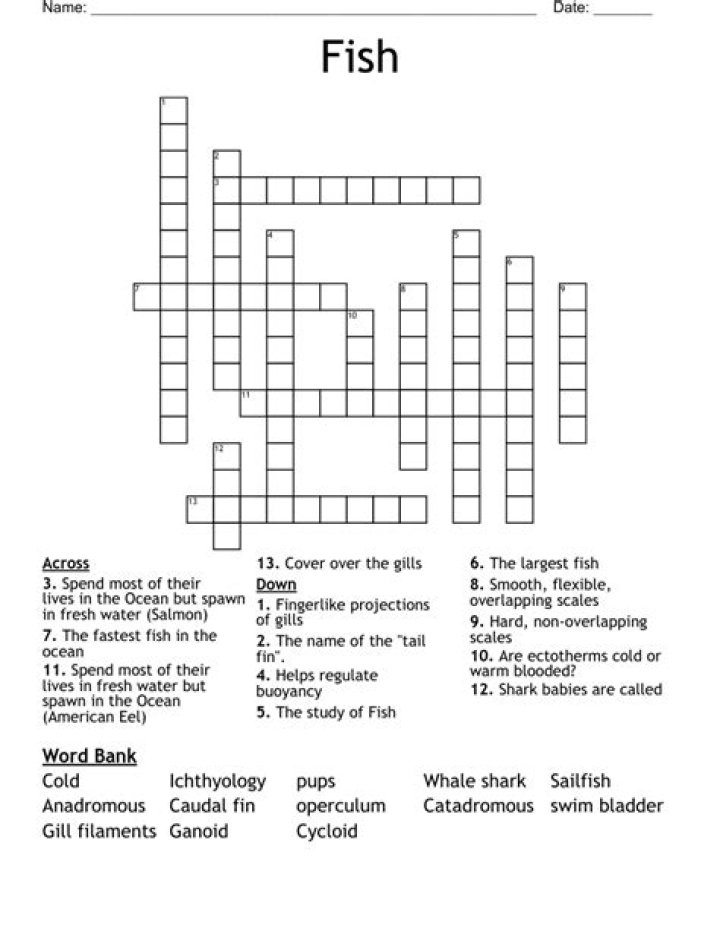 Twisty fish Crossword Clue