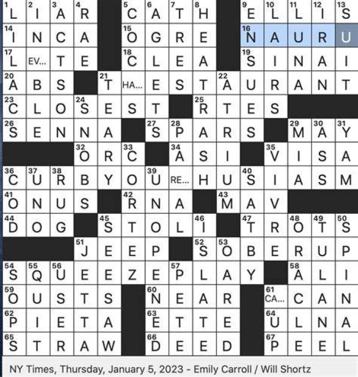 “Veep” actress DuVall Crossword Clue