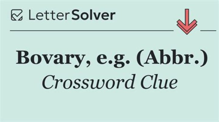 Vets, e.g.: Abbr. Crossword Clue
