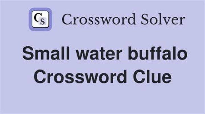 Water buffalo, for one Crossword Clue