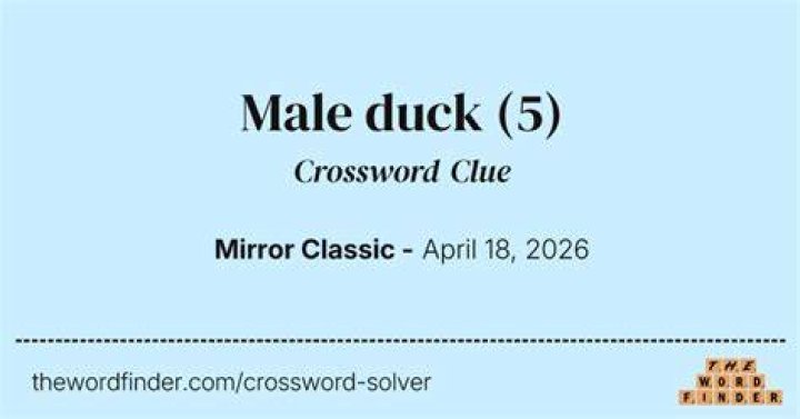 What a duck might be Crossword Clue