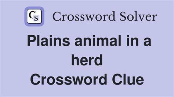 Where a herd might be heard Crossword Clue