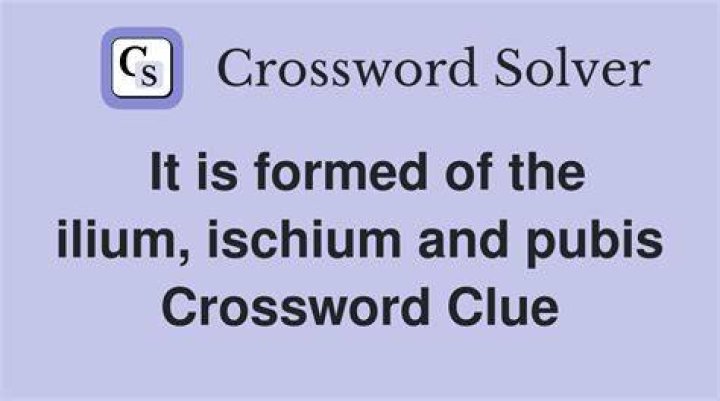 Where the ilium and ischium are Crossword Clue