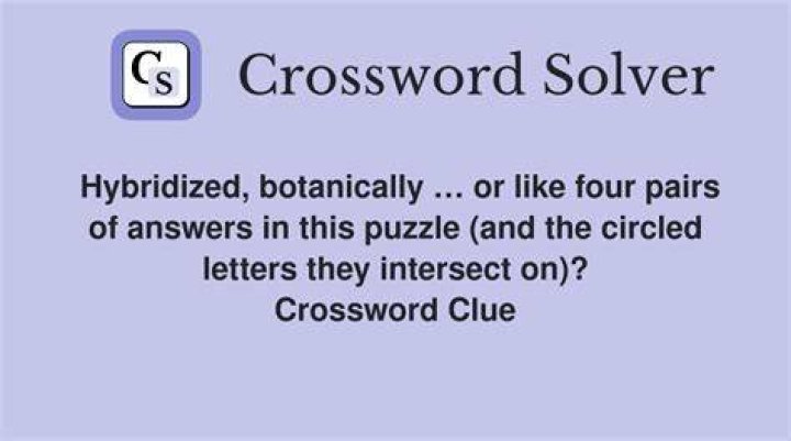 + … with a hint to four pairs of answers in this puzzle Crossword Clue