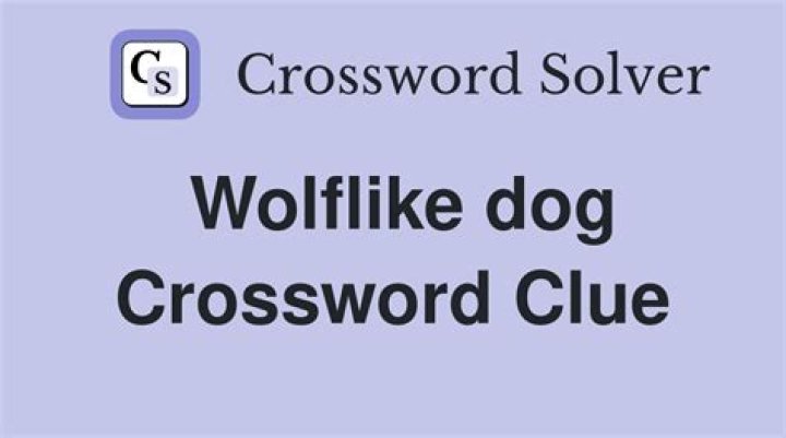 Wolflike Crossword Clue