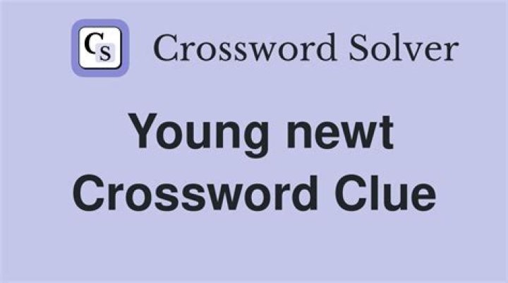 Young newt Crossword Clue